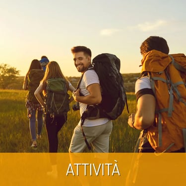 attività mwrlife guadagnareviaggiando.it