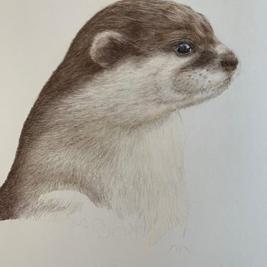 Otter