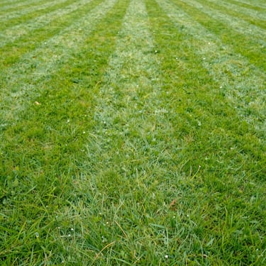 white car crossing body of water