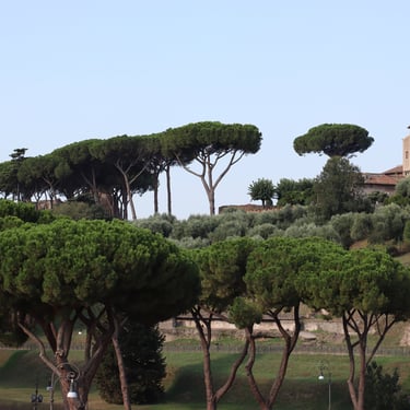 une photographie qui représente le voyage