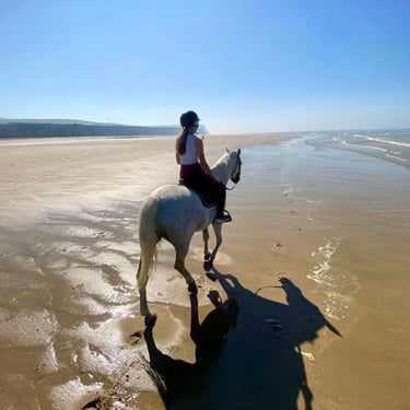 couple cavalier cheval la plage