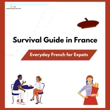 FREE Survival Guide in France