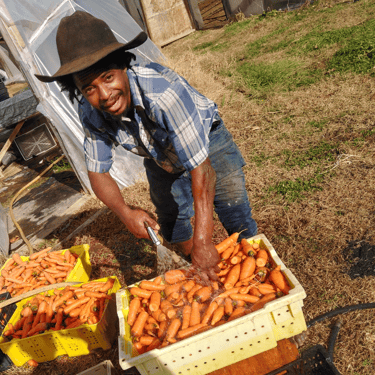 Sycamore Bend Farm Carrots