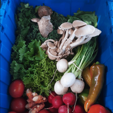 Sycamore Bend Farm CSA with Mushrooms