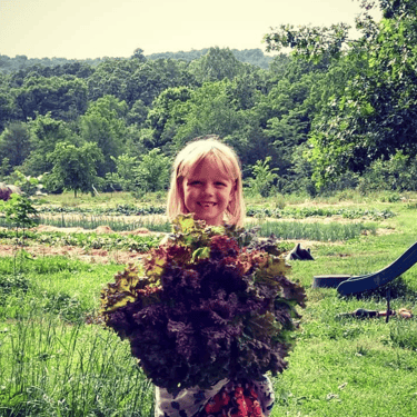 Sycamore Bend Farm Schwerin