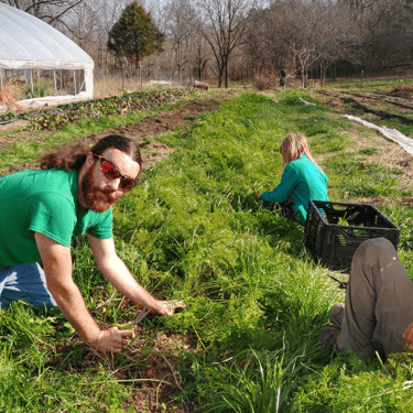 Sycamore Bend Farm in the field