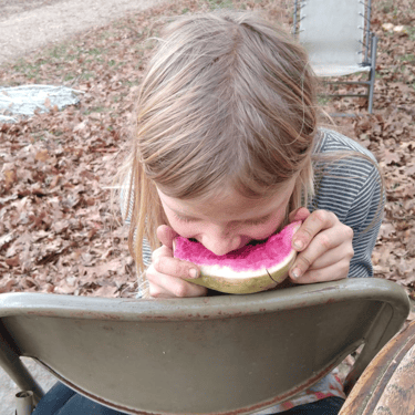 Sycamore Bend Farm Watermelon