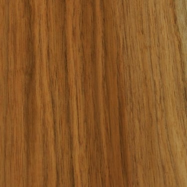 Butternut