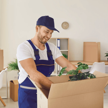 LuMOV Umzugshelfer beim Verpacken von Möbeln und Pflanzen in Luzern