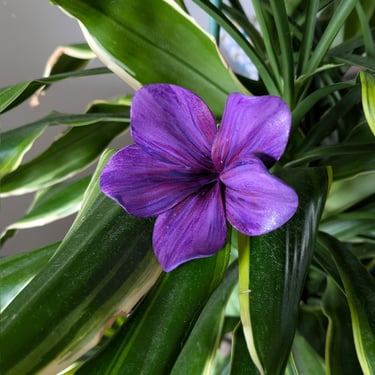 Frangipanier violet clair à stries, création main par Marion Guizzardi, artiste et créatrice, Montpellier.
