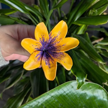 Frangipanier jaune aux stries violettes, création florale par Marion Guizzardi, artiste et créatrice, Montpellier.