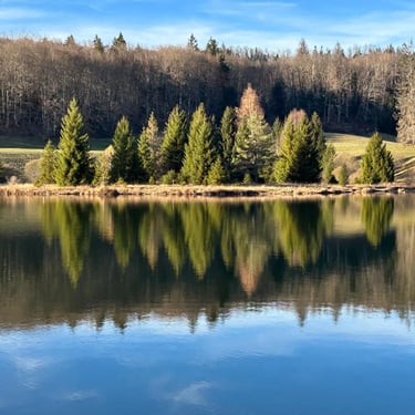 Accompagnement traumatisme et EMDR Neuville sur Ain, cabinet Sandrine Dupin