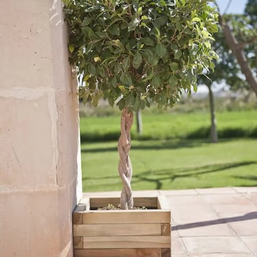 maceta de madera tratada