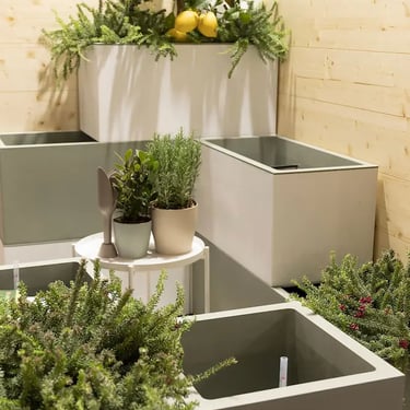 Macetas cuadradas y jardineras de diseño moderno en patio inglés