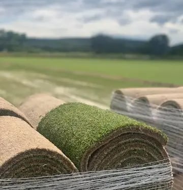 Rollos de césped recién cortado listo para su envío
