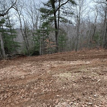 land clearing at residential property