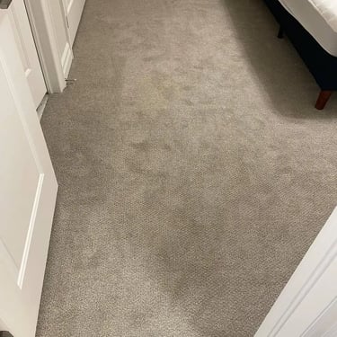 Harmony55 plush carpet installed wall-to-wall in bedroom of London Ontario home, high-quality soft flooring with durable back