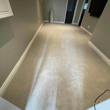 Unity65 thick plush grey carpet installed wall-to-wall in basement of London Ontario home, soft and luxurious flooring