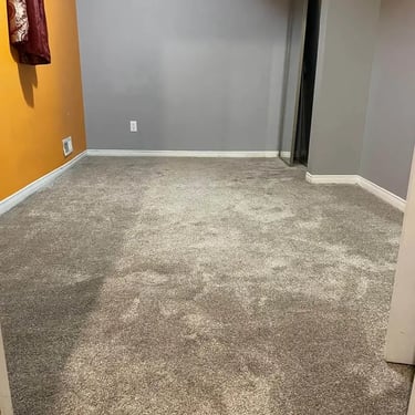 Unity65 thick plush carpet installed wall-to-wall in basement bedroom of London Ontario home, soft and luxurious flooring