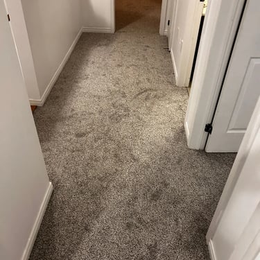 Melford low pile grey carpet installed wall-to-wall in residential hallway – soft and durable flooring in London Ontario