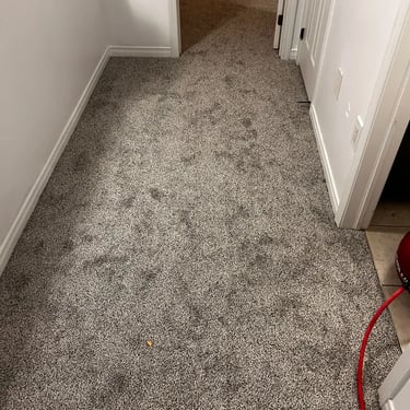 Melford low pile plush carpet installed in hallway – soft, durable surface for quiet and cozy foot traffic