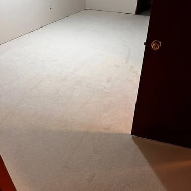 Affordable low pile plush carpet installed wall-to-wall in basement bedroom of London Ontario home