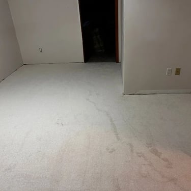 Affordable low pile plush carpet installed wall-to-wall in basement living room of London Ontario home