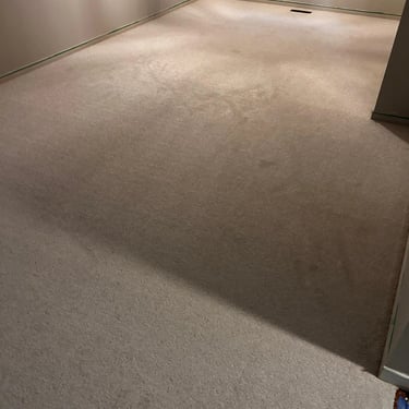 Basement bedroom with grey low pile plush carpet installed wall-to-wall in Oakridge London Ontario home