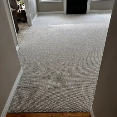Interstellar Bleached Wheat carpet professionally installed in a London Ontario living room by Master Carpet