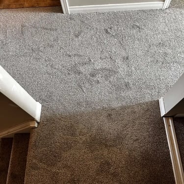 Melford 102 low pile carpet installed in upstairs hallway, London home