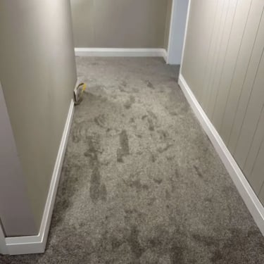 Melford carpet installed in a basement corridor – durable and comfortable carpet perfect for London homes.