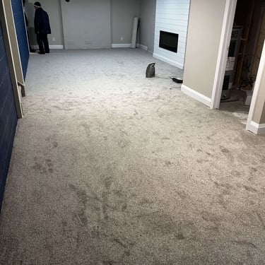 Melford carpet installed in basement of Westmount, London – soft and stylish carpet for added comfort.