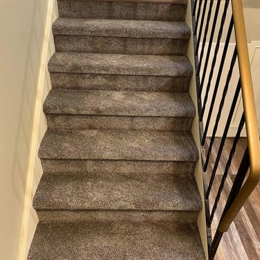 Dark grey Selkirk carpet installed wall to wall on basement stairs, adding a clean and durable look with plush texture