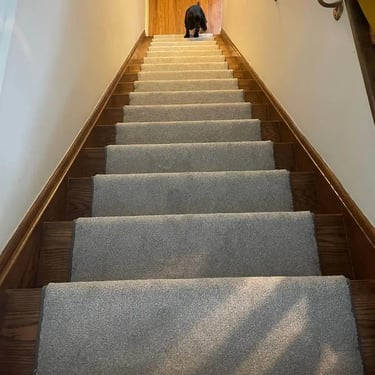 Grey plush carpet stair runner installed on residential stairs in London Ontario, soft and durable flooring