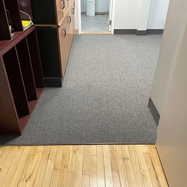 Streaming Aspect commercial carpet transition from wood floor at rehab center in London Ontario.
