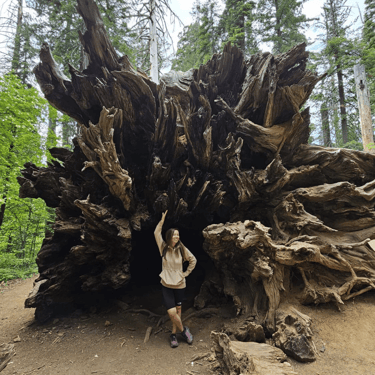 Yosemite