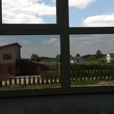 Veidrodine plevele namams