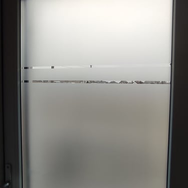 Matine plevele, matines pleveles klijavimas, namams