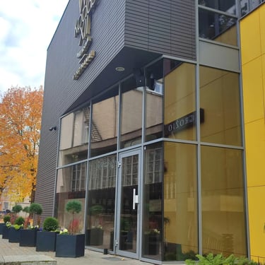 Veidrodinė ir matine plevele, apsaugine plevele