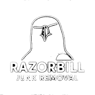 Razorbill Junk Removal In San Antonio