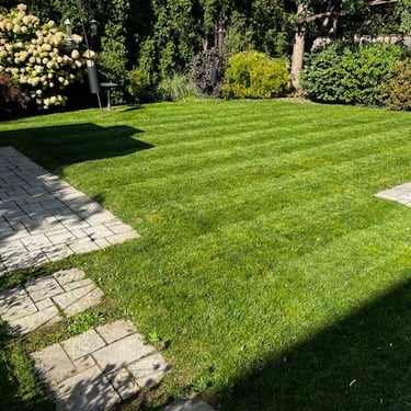 freshly mowed grass, perfect lines in grass