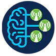 network-egypt