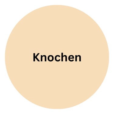 Rind Knochen