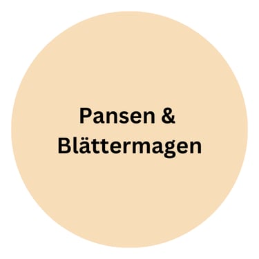 Rind Pansen & Blättermagen