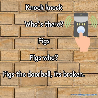 Knock knock  who’s there?  figs  figs who?  figs the doorbell, its broken.