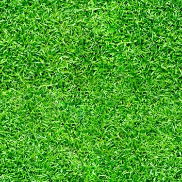 Seass grass texture pbr albedo grass texture