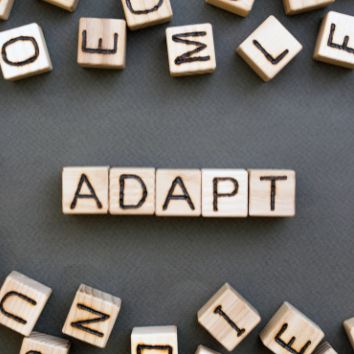 a wooden block with the words "adapt"