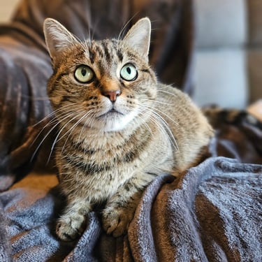 Pause en toute sérénité pour Mila et son regard de braise à Nangy