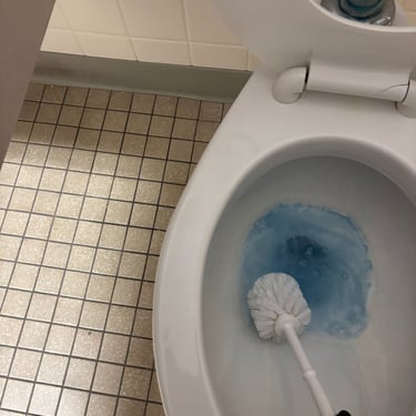 Chemical in toilet bowl to get rid of stains