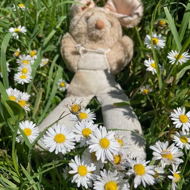 gay tantra rabbit